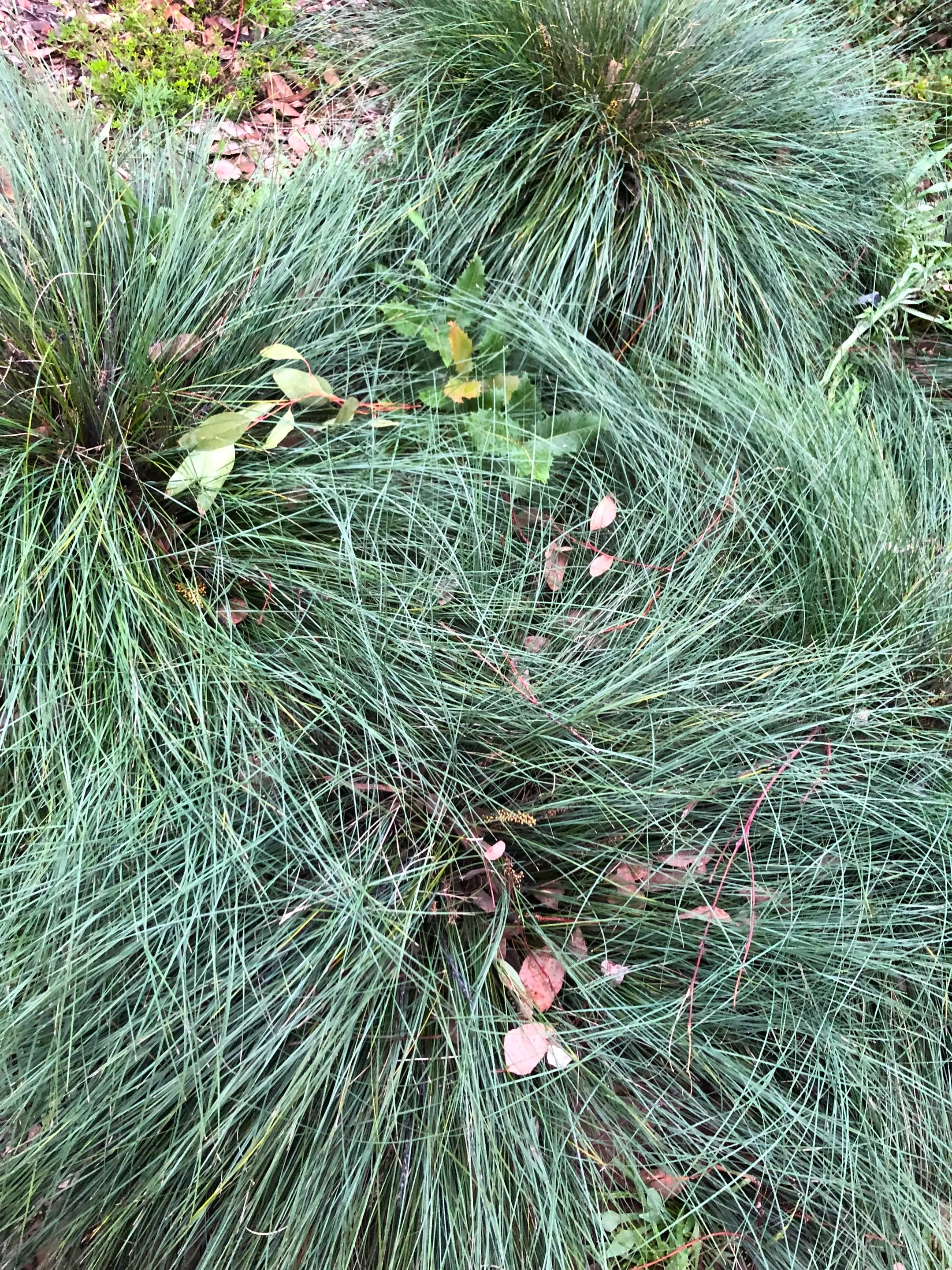 Northcote Laneway project detail 3