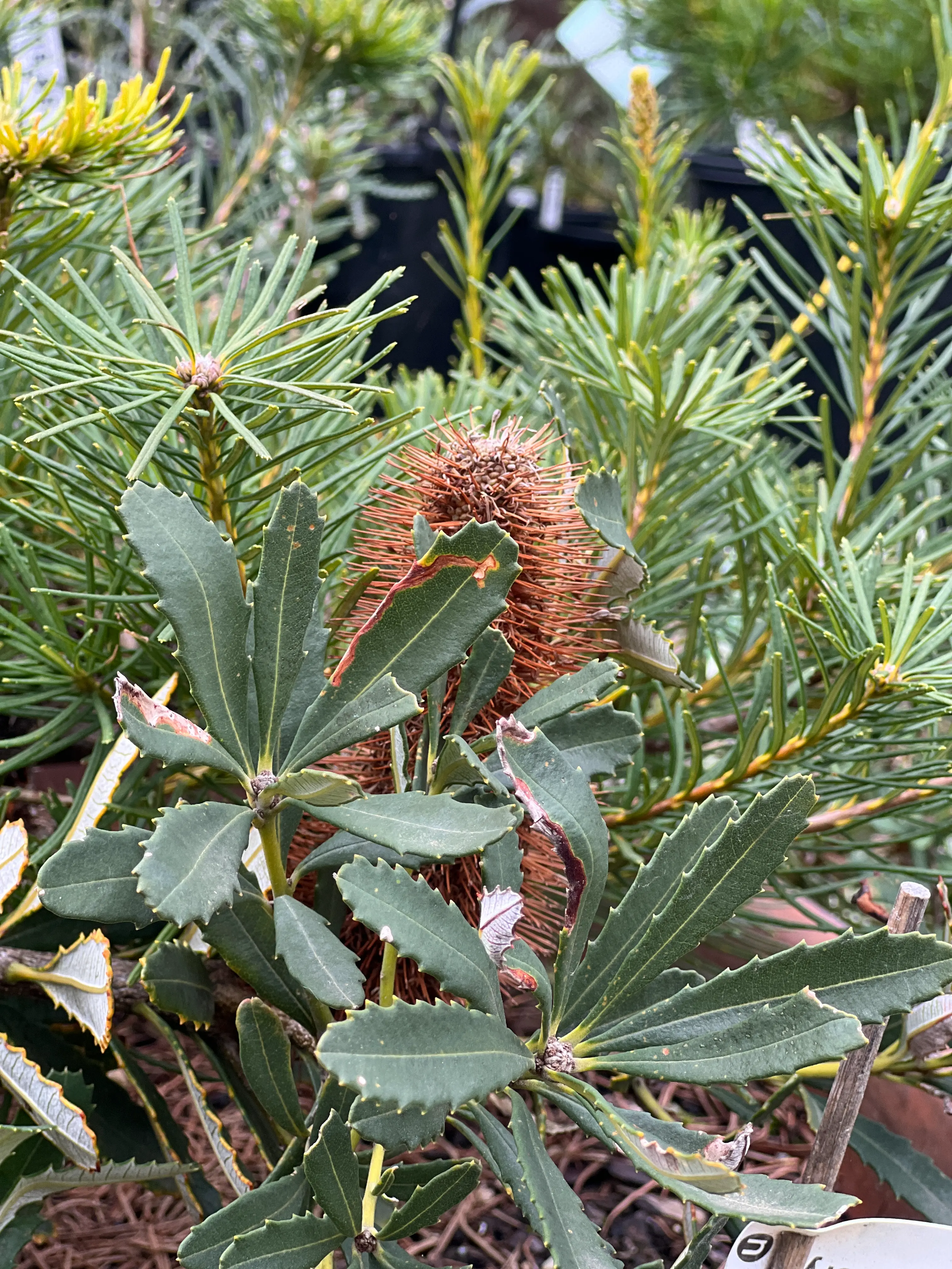 Rye Beach Home project detail 2