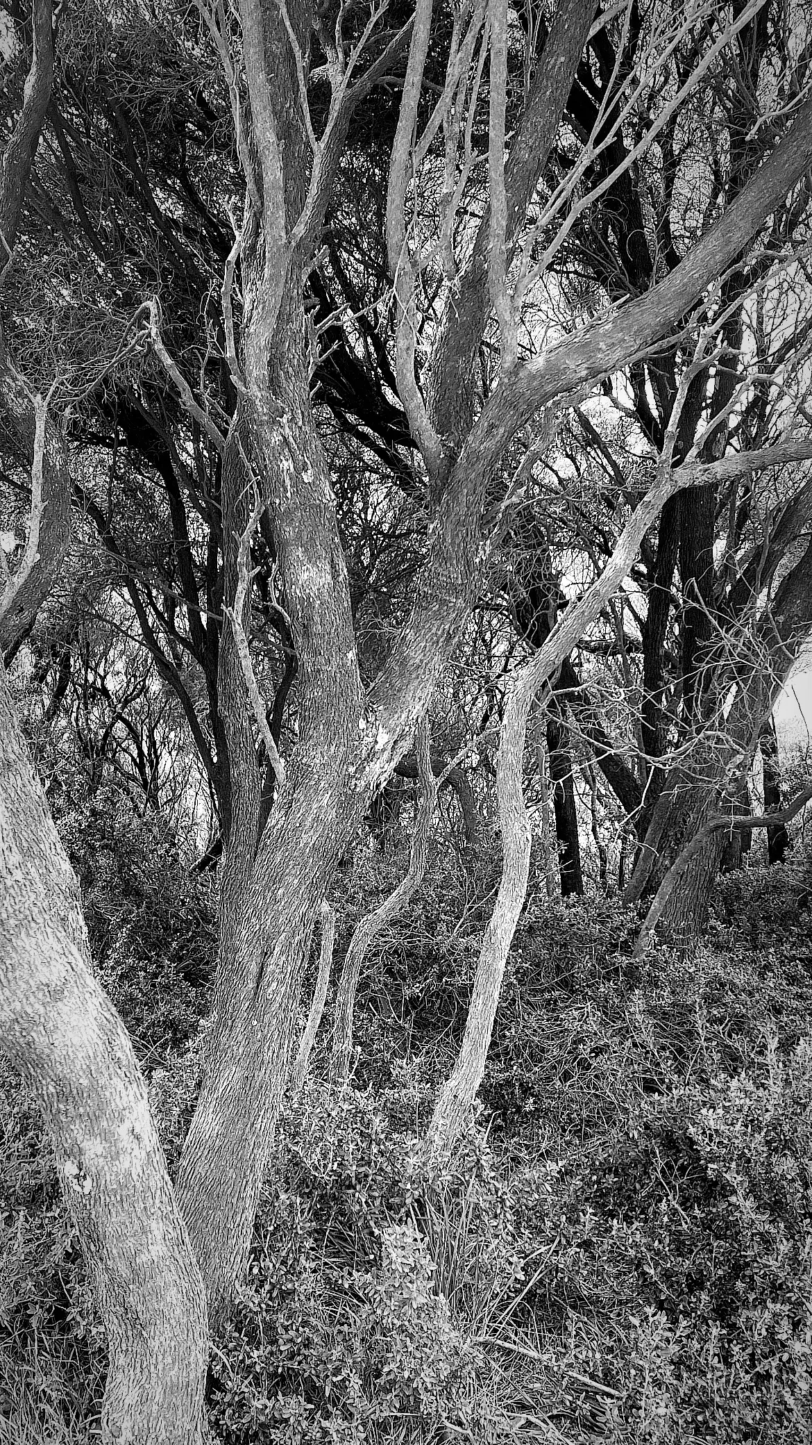 Rye Beach Home project detail 3