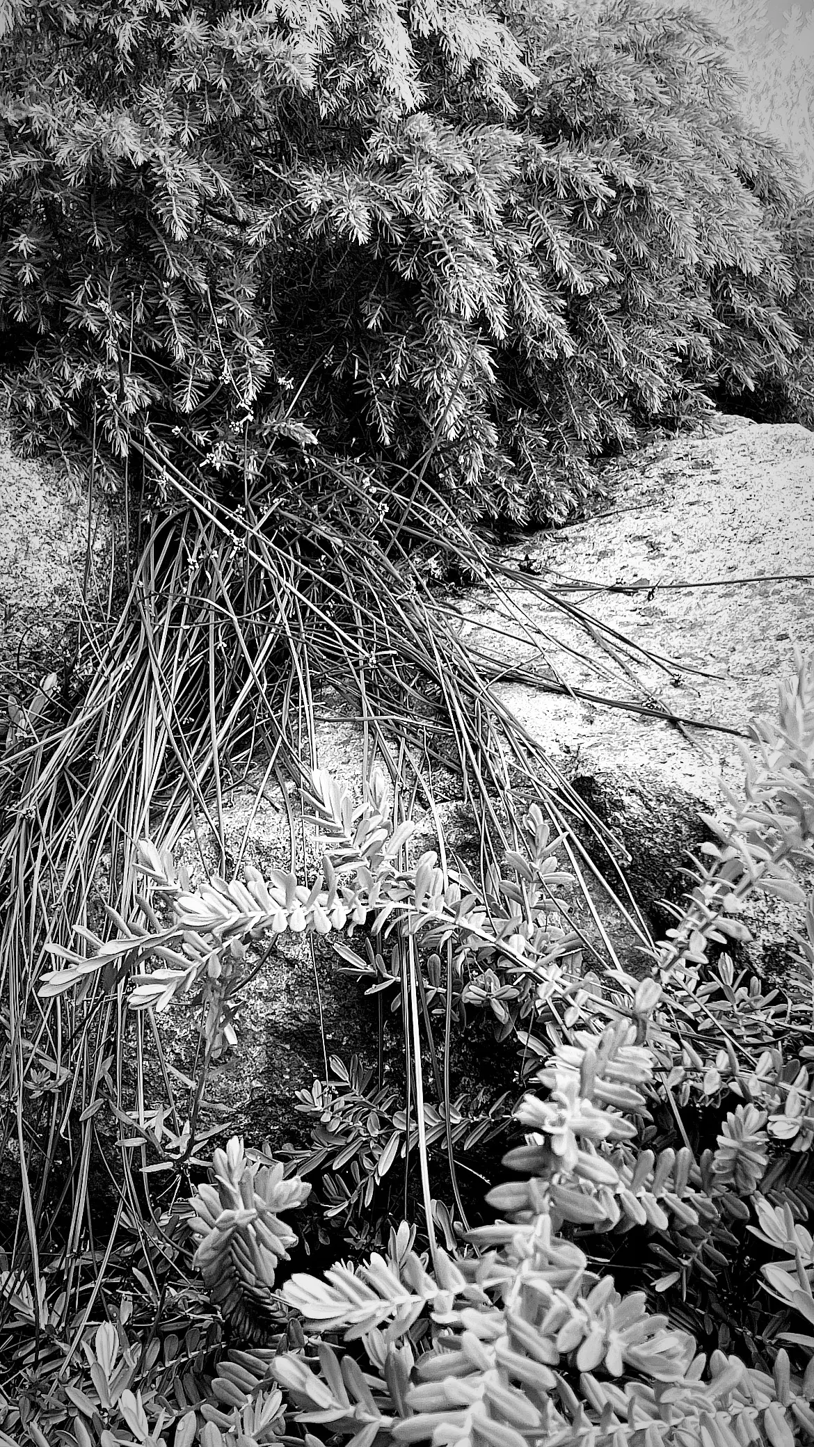 Rye Beach Home project detail 5